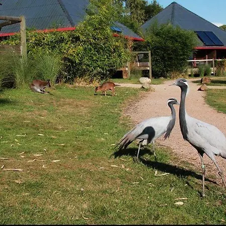 Οργανωμένο κάμπινγκ Cerza Safari