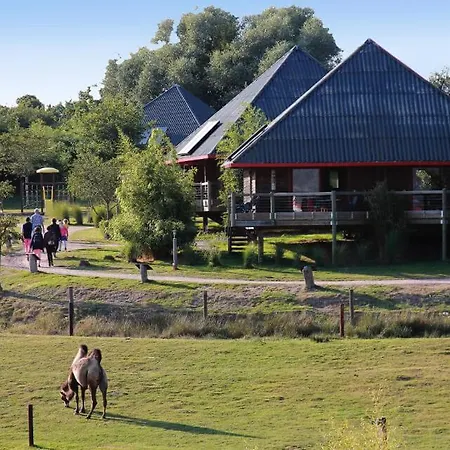 Οργανωμένο κάμπινγκ Cerza Safari *