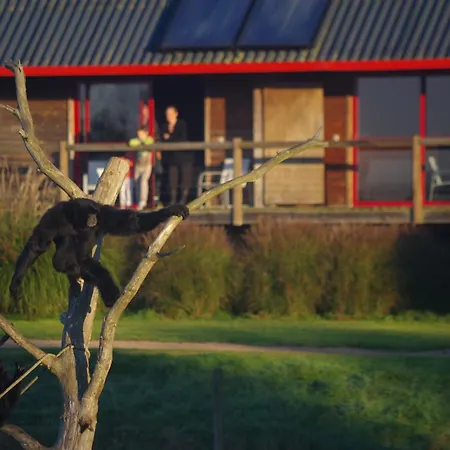 Cerza Safari Οργανωμένο κάμπινγκ