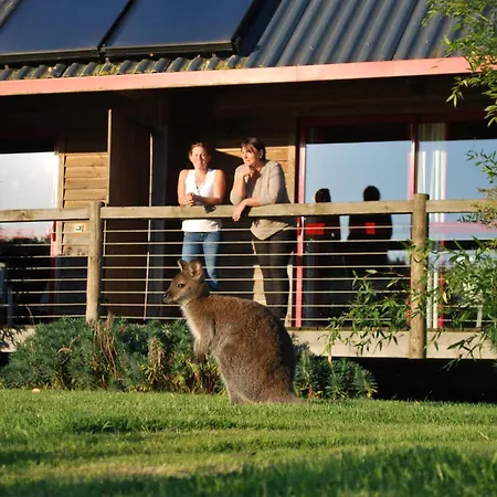 Cerza Safari * Hermival-les-Vaux