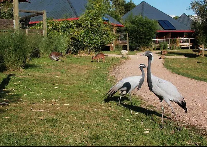 Luxe tent Cerza Safari