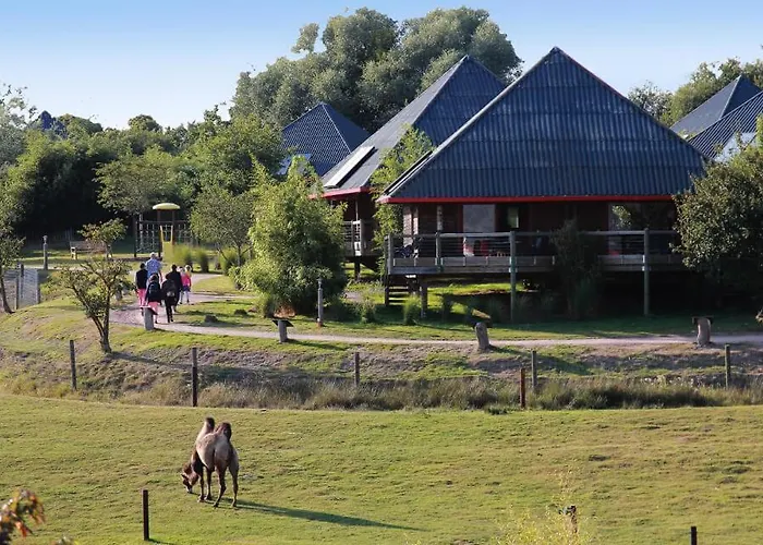 Luxussátor Cerza Safari *