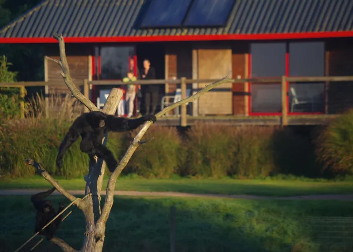 Cerza Safari Luxussátor