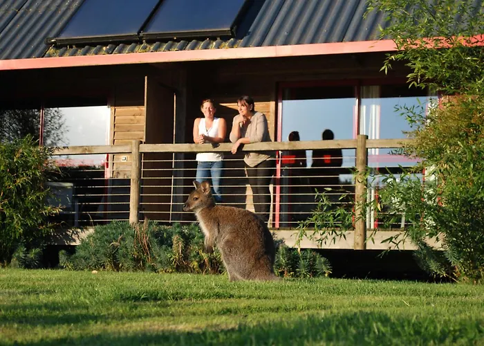 Cerza Safari * Hermival-les-Vaux