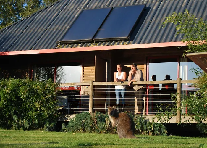 Luxe tent Cerza Safari Hermival-les-Vaux